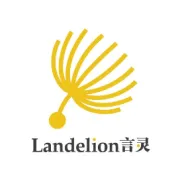 言灵海外社媒代运营服务案例分享