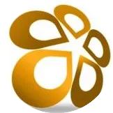 2015年金钱龟卖不出去才是赚大钱？