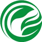 深山飞出的金凤凰