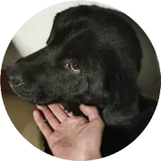 内核中的guard宏