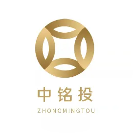 中铭投控股