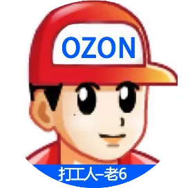 老6-Ozon跨境打工记