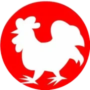 2023年8月31日淘汰鸡价格