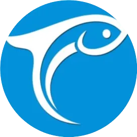 鳳臺小魚網(wǎng)