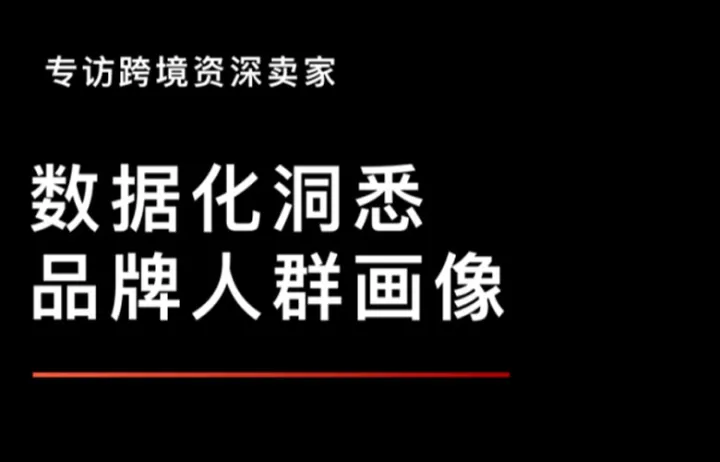专访跨境资深卖家孙总｜品牌的背后是人群，数据化洞悉品牌人群画像