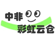 AI重构南非电商：ChatGPT在客服、选品与营销中的实战应用