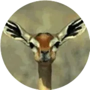 副业亚马逊让我真正成长了