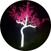 模拟芯片vs数字芯片：谁才是科技界的“真·大佬”？