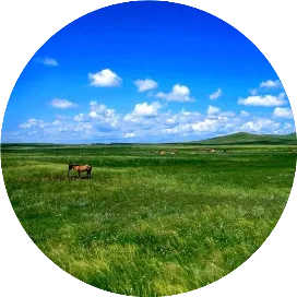 锡林郭勒旅游网-新信科技