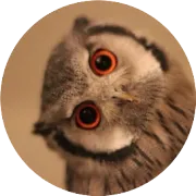 拒了一个面试，埋伏了一点冷冬概念股