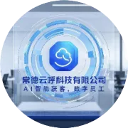 销售执行工作结果交付说明