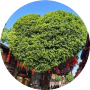 品牌出海要不断迭代的是什么