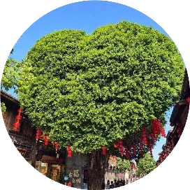 三个火枪手闹出海