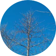 本周行情回顾(2024-04-28)