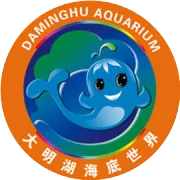 我等你，在秋雨中