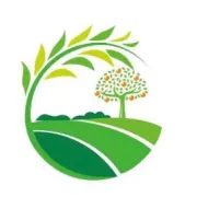 阿克苏苹果秋冬下树 甜蜜正当时