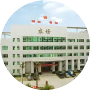 农场社区助力“百千万工程”， 幸福进万家--与“粽”携“童”过双节活动回顾