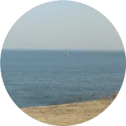 海遇玫瑰