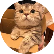 【2025年12月3日】中小样系列最新报价