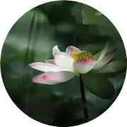 汽服行业的产业链和生态圈