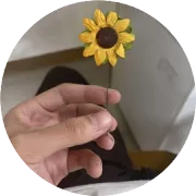 TEMU干货篇--流量逻辑