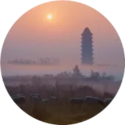 临清欢迎您