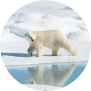 深圳：深圳中轴线徒步之旅