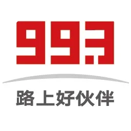 993路上好伙伴