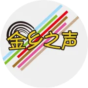 @所有人 金乡继续加强城区交通秩序综合整治