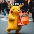 Temu半托管别再死磕美欧了！这些“小众站点”才是真香，尤其最后一个