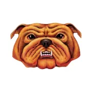 车主遇到这种情况千万不可忽视！