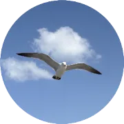 speccpu 2017测试环境部署（最全版本）