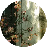它的存在使我们更加坚定了为梦想奋斗的信念。