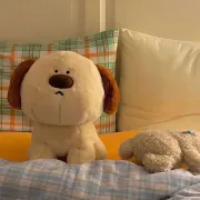 2025年中国私域电商行业趋势白皮书（附下载）