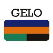 润湿流平剂 | GELO-3510