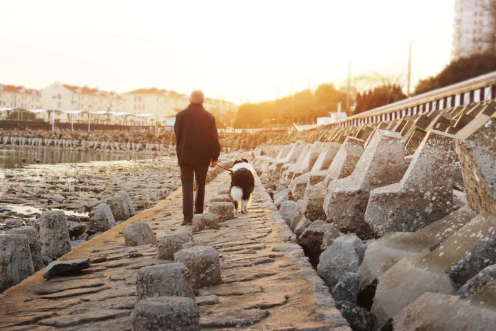 五年开店近300家，获数轮融资，恩宠堂徐桦：不止于生意，如何“重做”宠物殡葬行业？