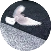 跨境电商的AI+大数据应用：如何提升全球竞争力