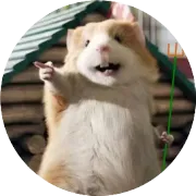 外贸人怎么用谷歌地图做获客和客户背调？