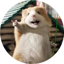 外贸鼠鼠