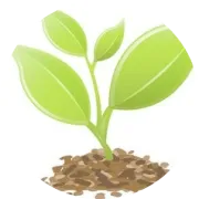 重磅！2022年林草科技十大进展公布