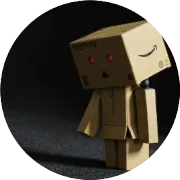 亚马逊卖家做到一定规模后为什么都开始做独立站