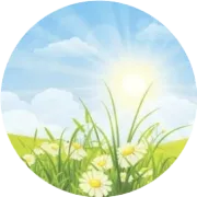 新到一个semrush评分80，流量9M高端网站