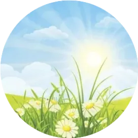 英文独立站之路