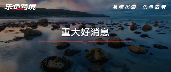 突破难关！北爱尔兰公司中国法人德国VAT注册成功，正常接单！