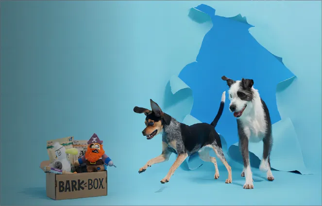 购买者与使用者不统一如何权衡？宠物市场“快决策”购买用户特点？