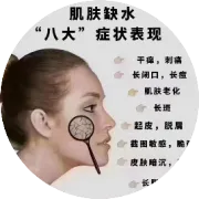 赛洛菲全系列！！