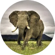 时空轨迹数据模拟——MTNet