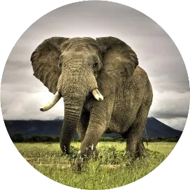 数据合成AI技术前沿