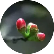 南阳简称“宛”字怎么读？