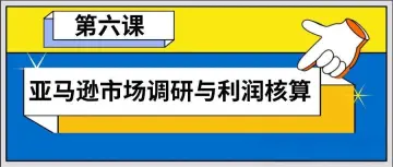 第六篇（万字干货）- 亚马逊市场调研与利润核算